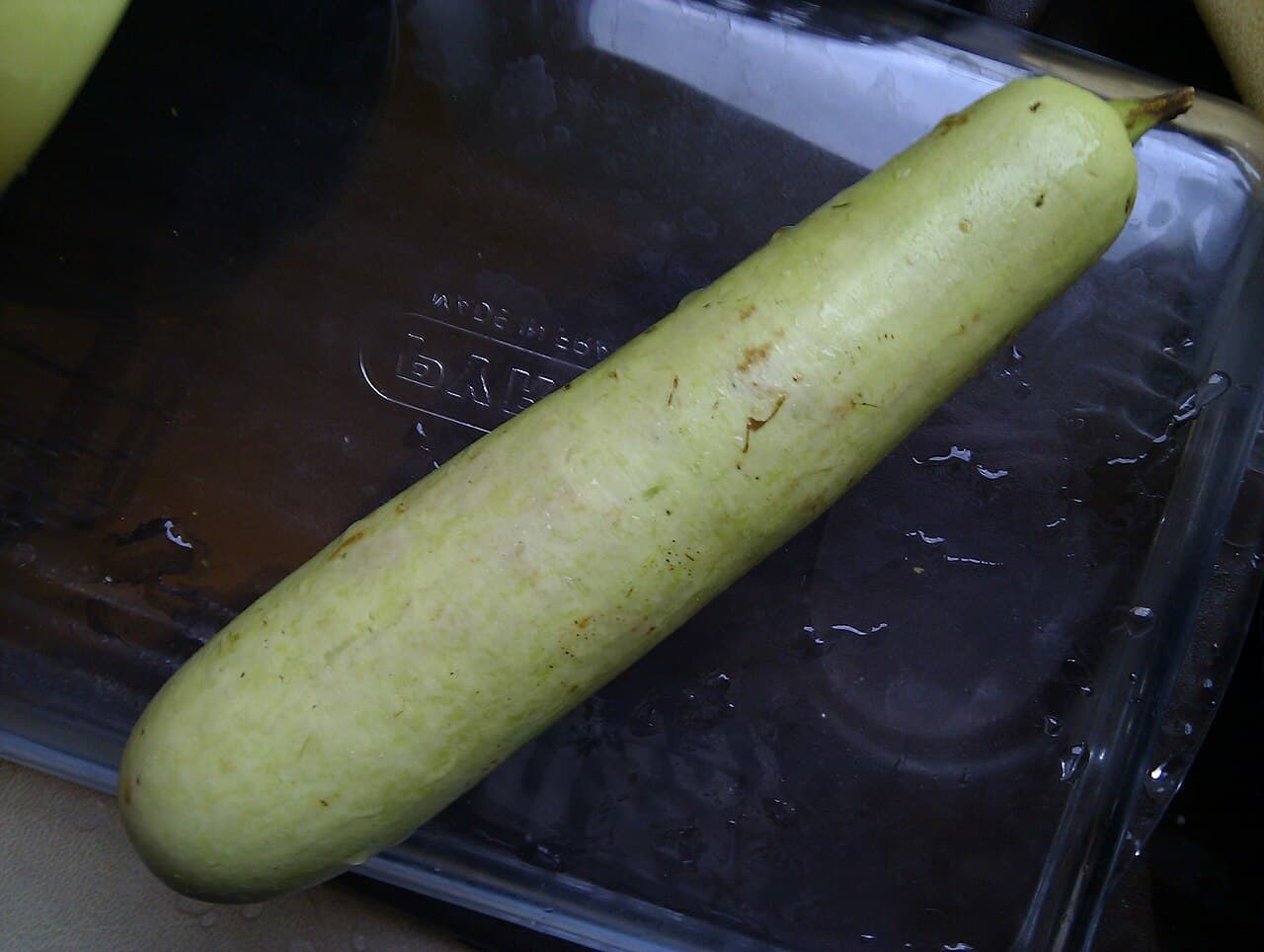 Bottle gourd