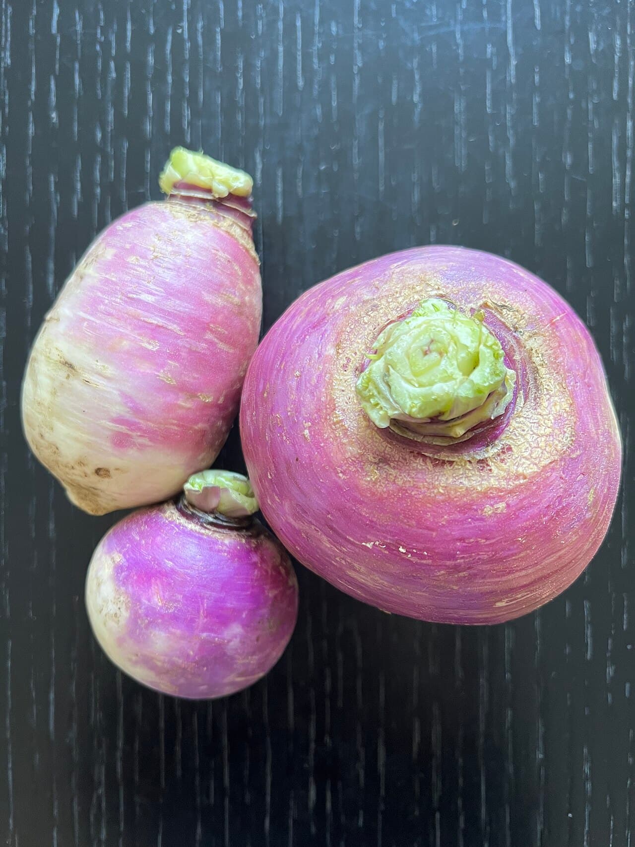 Turnip